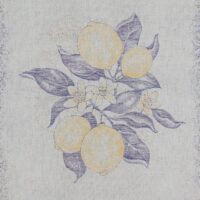 th_1024x768_240220095026-caba5qp-2062-a1