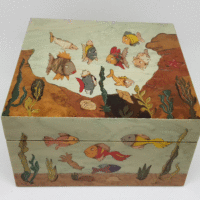 scatola-pesci-2