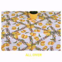 Limoni-Costiera-all-over